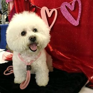 Meet your Posher, Peggy